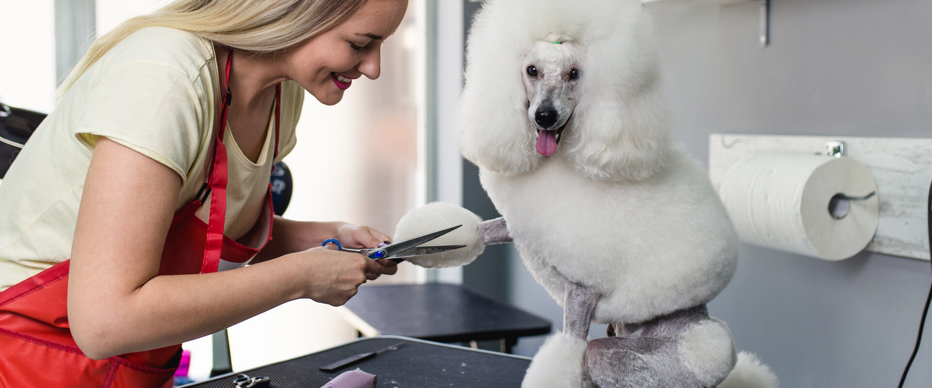 Pet grooming